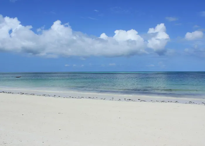 Zanzibar Dog Friendly Hotels